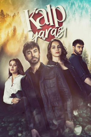 გულის იარა
